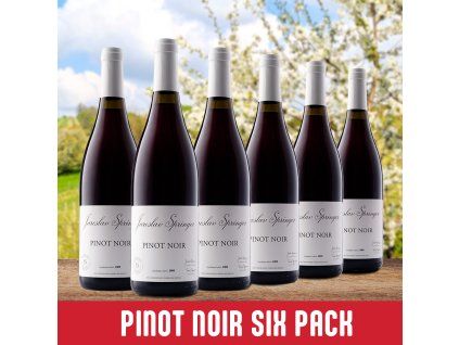 Pinot Noir SIX PACK