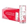 voss stawberry ginger 330ml can pack.jpg