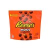 Reese's Minis Peanut Butter Cups 215g USA