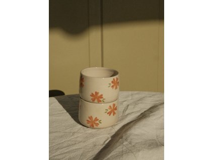 732B89DC 2195 4769 9405 A04CDC50687C 14416 0000067BC6AE018F