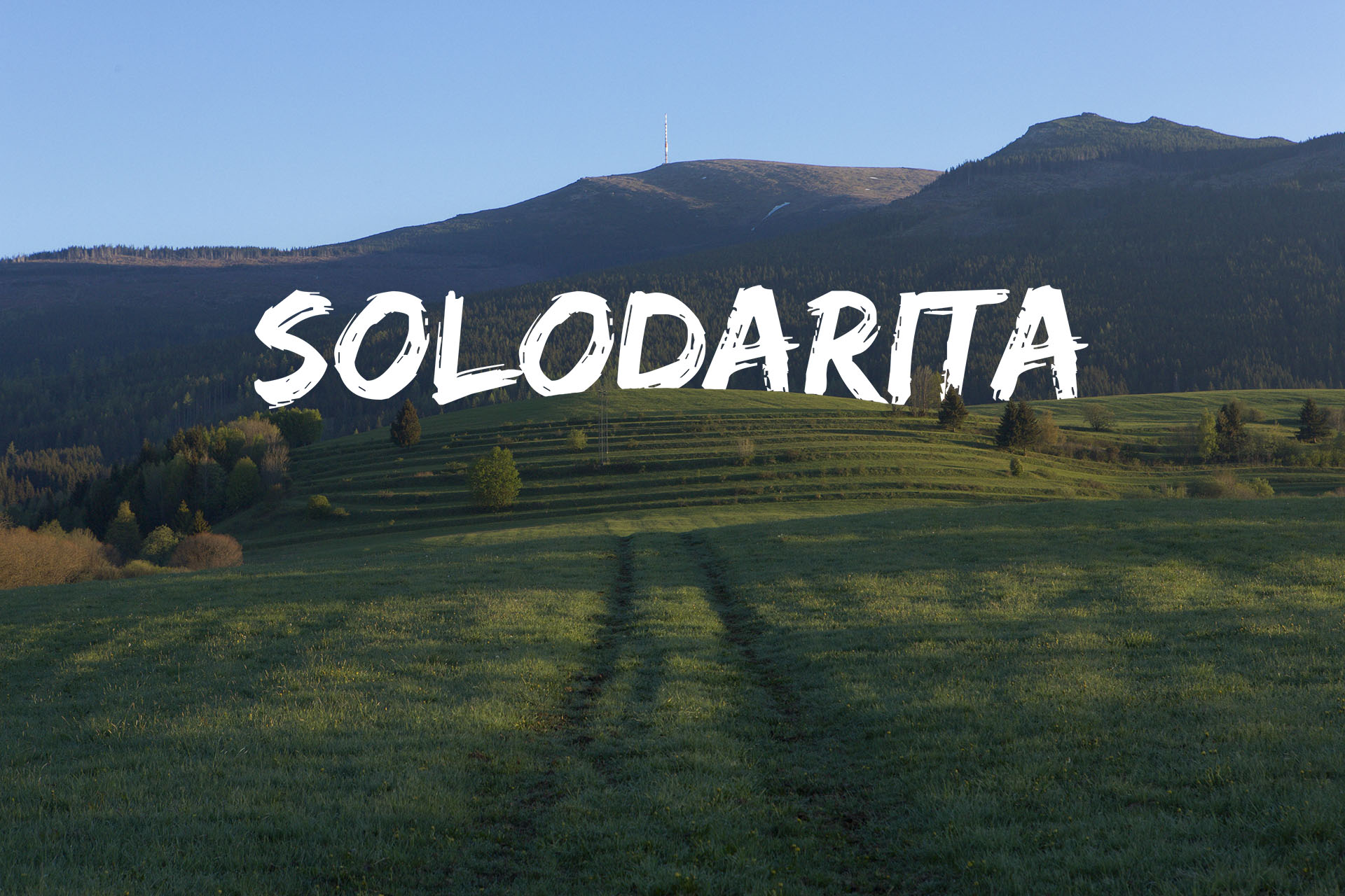 Solodarita