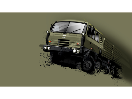 Obraz T815