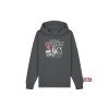Stylish grey Hoodie Tatra PHOENIX sweatshirt