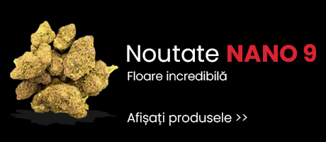 Nano 9