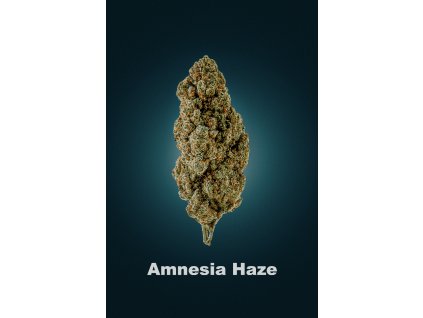 Amnesia Haze CBD