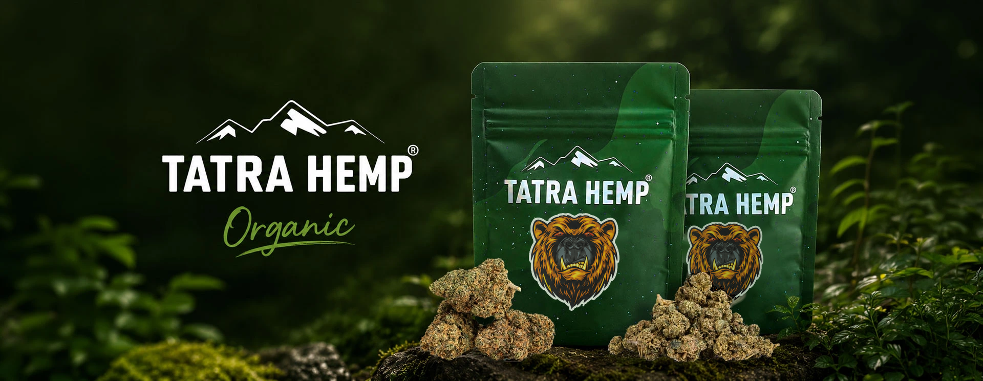 Organic banner desktop