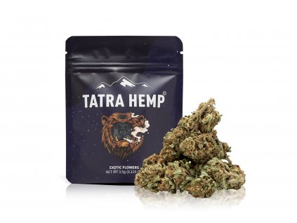 Gorilla Cheese WEB