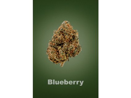 Blueberry cbd
