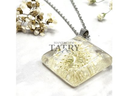 KRAJKA KOSOSTVOREC BIELA (2)