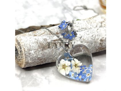 XL SRDCE NEZABUDKA TAVOLNIK (2)