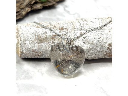 PUPAVA CIRA SRDCE 3D (1)