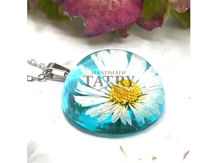 SEDMRASKA MODRA POLOGULA L (3)