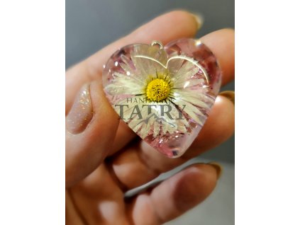 SRDCE 3D L ruzova (1)