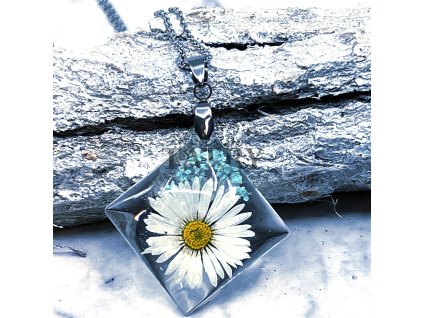 SEDMOKRASKA A MODRA CIPKA (14)