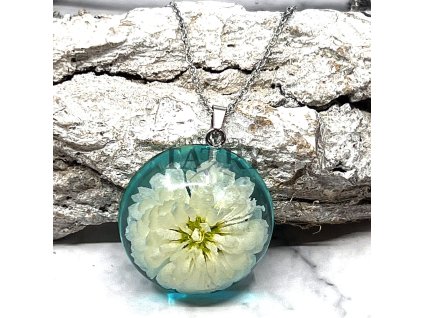 CHRYZANTEMA BIELA V MODROM POLOGULA L (7)