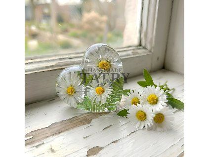 SRDCE L SEDMOKRÁSKA