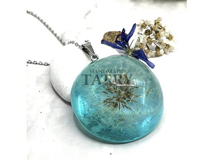 PUPAVA MODRA POLOGULA L (9)