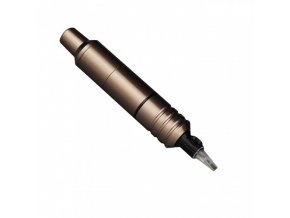 cheyenne pen bronze 2[1]