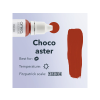 choco aster2