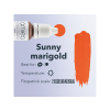 sunnymarigold2
