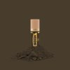 Template BOCCETTO BIOTEK NEW con polvere Paris