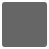 13388 4 eternal neutral gray 60 60ml