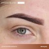 perma blend luxe brow chicka wow wow brow set 8 x 15 ml (3)