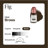 fig22