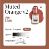 Muted orange v2