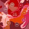 perma blend luxe pucker up buttercup lip set 8 x 15 ml (3)
