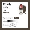 ready ash22