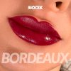 bordeaux 1