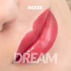 dream 1