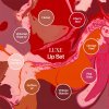 perma blend luxe pucker up buttercup lip set 8 x 15 ml (3)