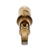 30 13 MGLT MG 06