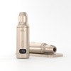Golden Matte Pair Stand