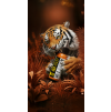tiatc tiger orange hero 1 highres