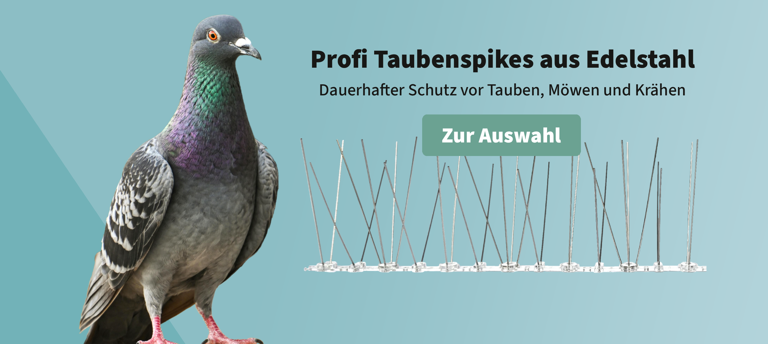 Profi Taubenspikes aus Edelstahl