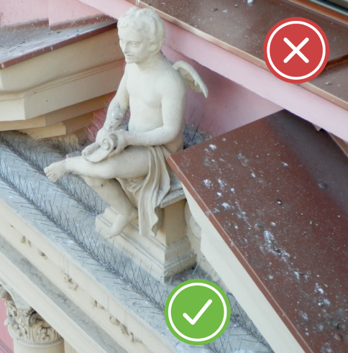 luckenlose-abdeckung-taubenabwehrspikes-montage-700x709-yes-no