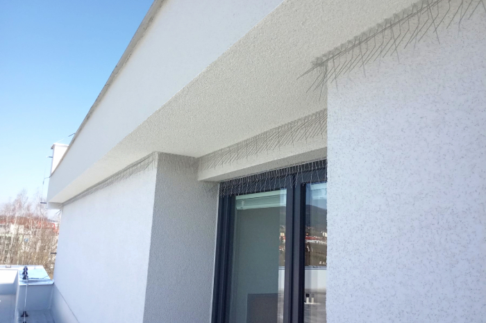 montage-von-schwalbenabwehrspikes-fassade-01-700x465