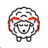 Merino vlna