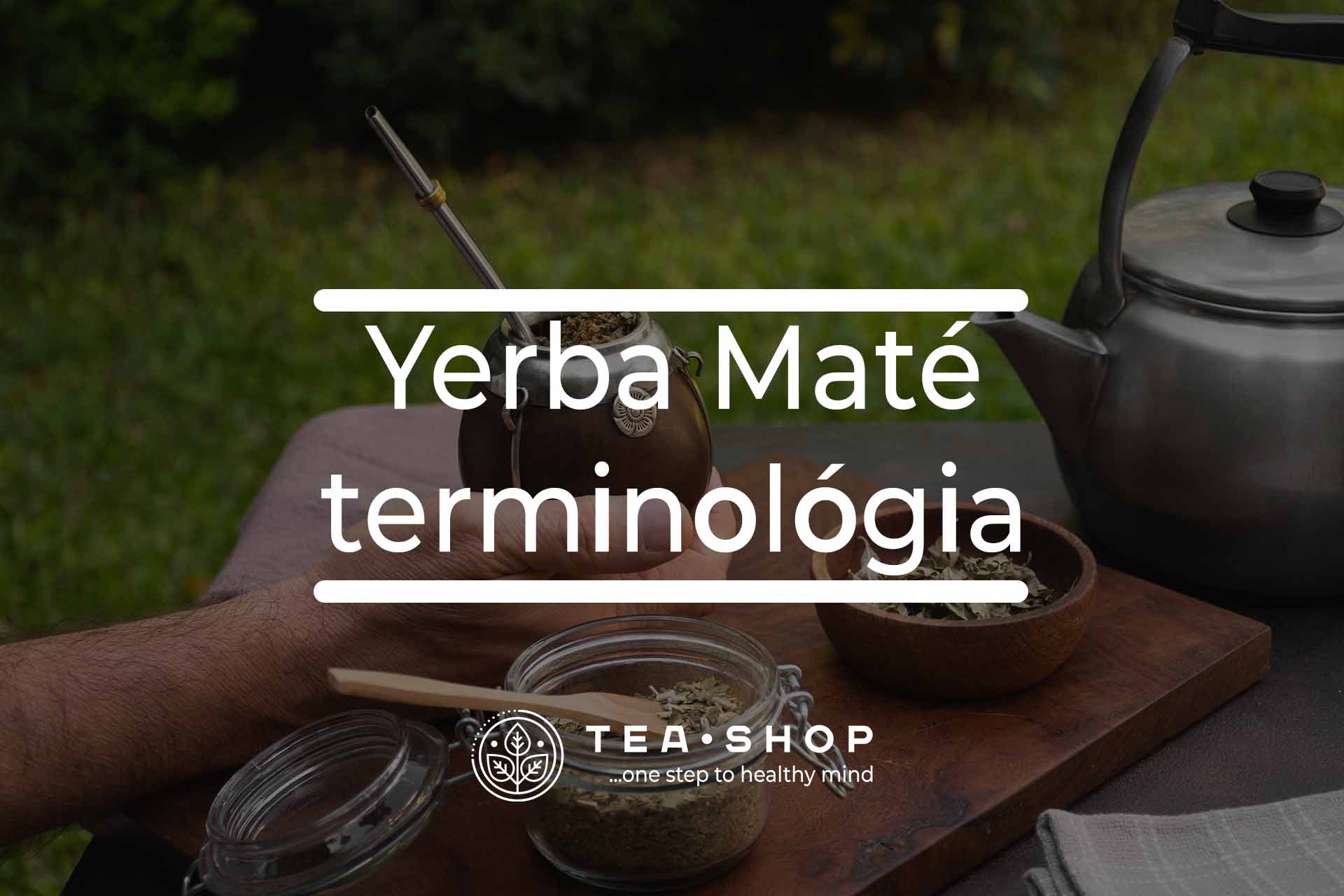 Yerba maté terminológia