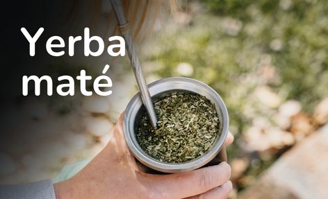 Yerba maté
