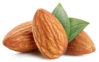 almond-raw-piece-full-macro-260nw-2033102012~2