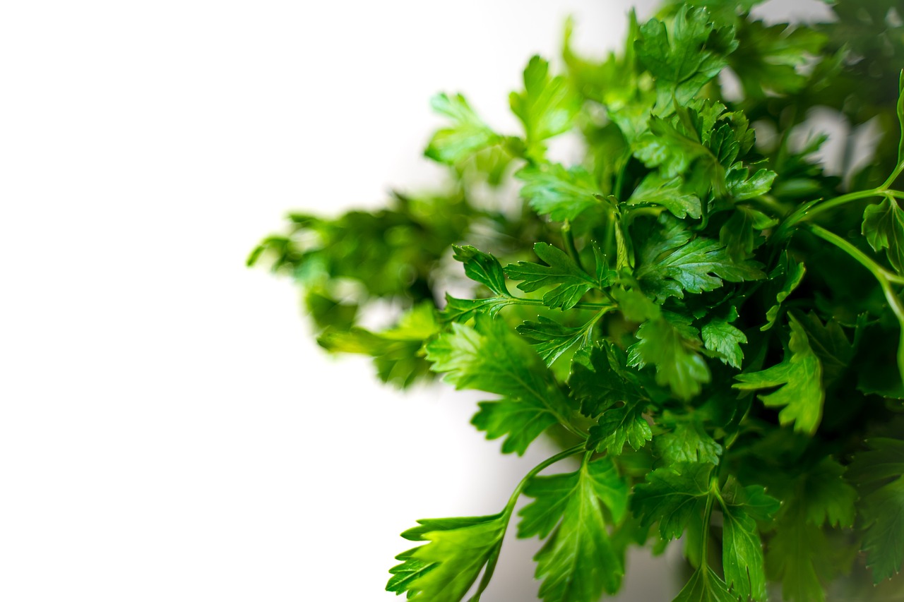 parsley-5361027_1280