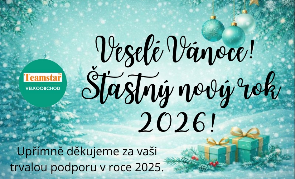 Nový rok 2024