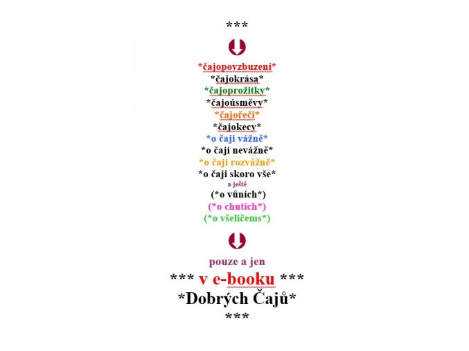 e book titulka
