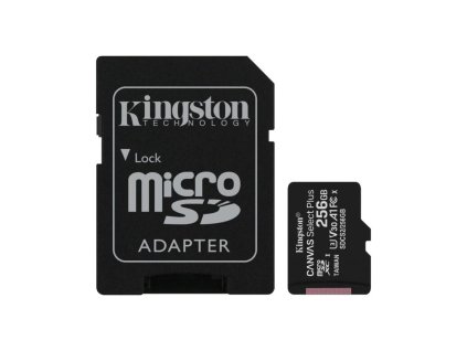 23708 20476 sd card kingston 256 gb