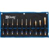 Sada vyrážečů, sekáčů a důlčíků v pouzdře, 10 ks