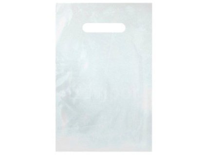 Kapitola 11 - nové obrázky/taska-pe-s-pruhmatem-55x60cm-13485.jpg
